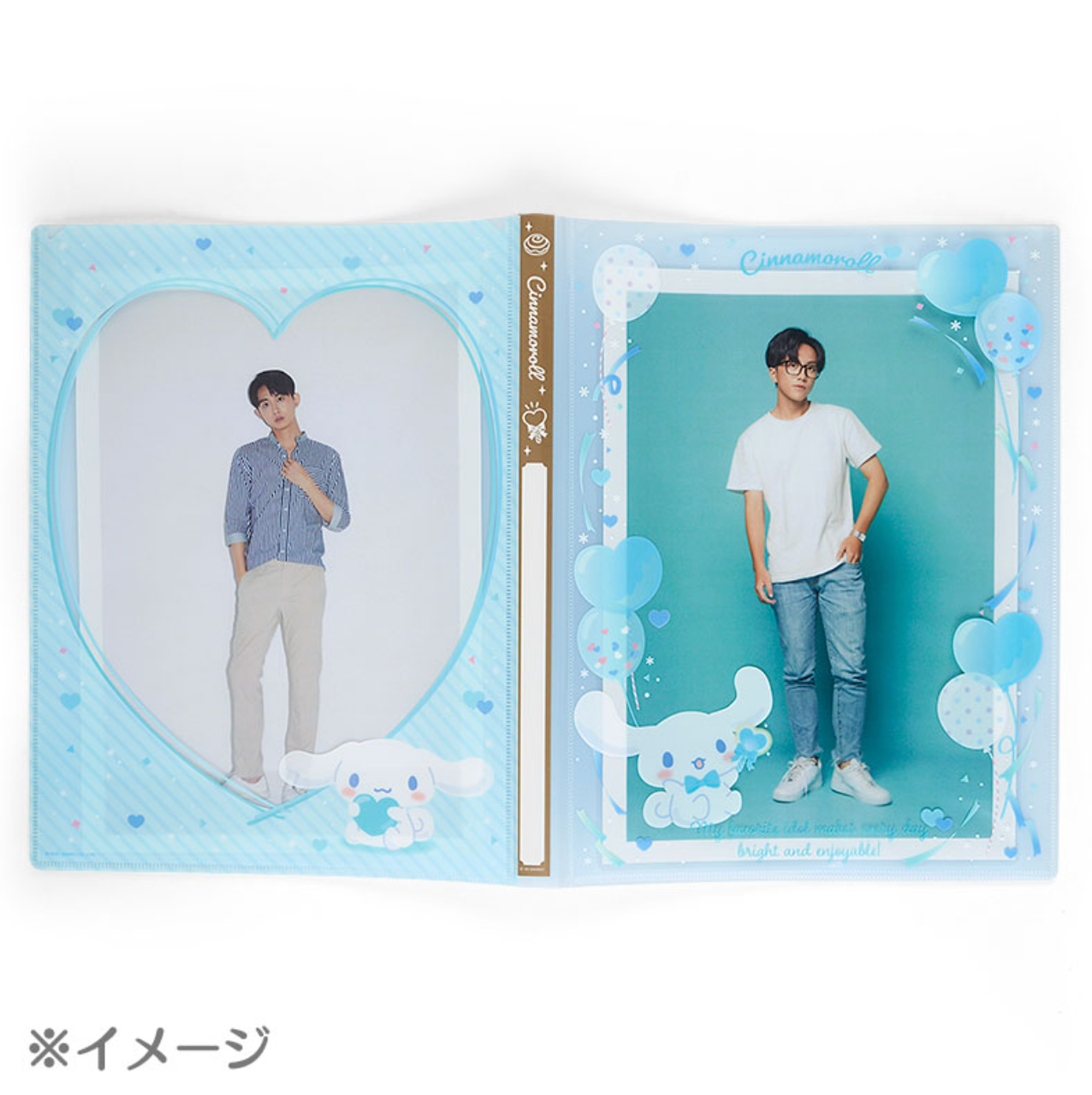 Sanrio Clear File Display Folder