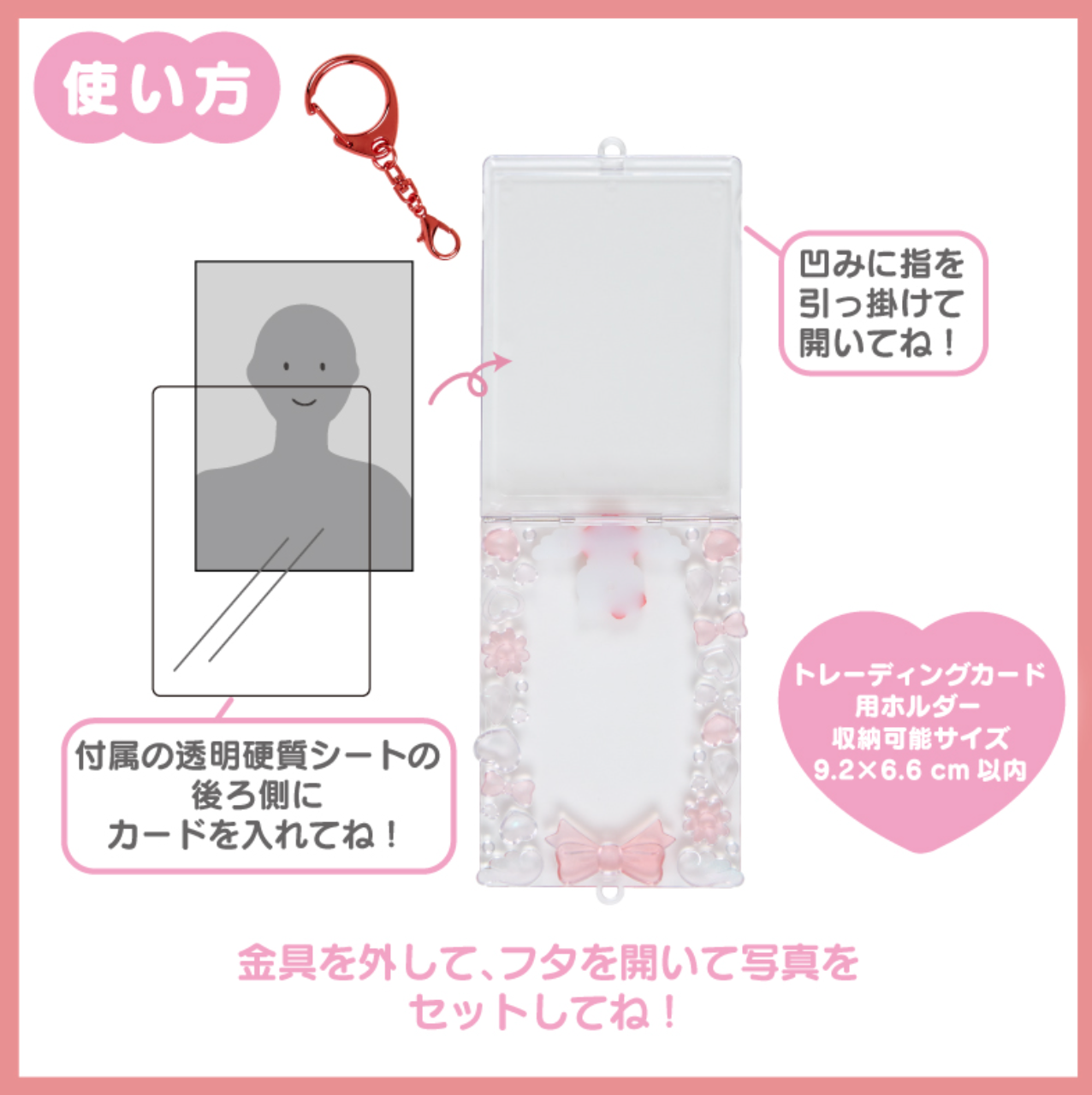 Sanrio Hard Case Keychains (Bromide Size)